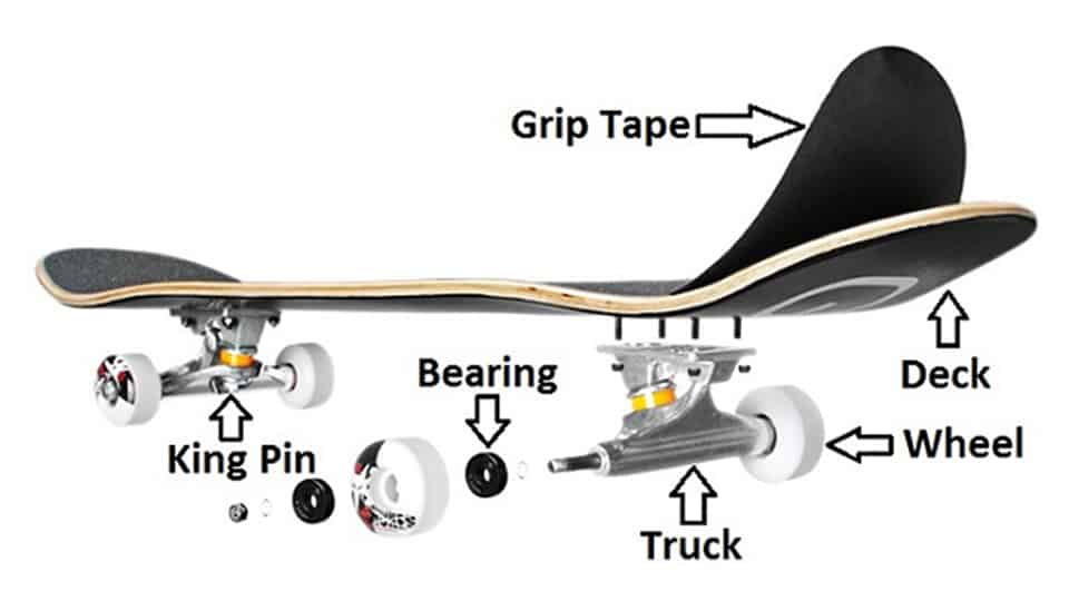 veerboot Horzel variabel Skateboard Measurements Explained (For Beginners) – SkateboardingInfo.com